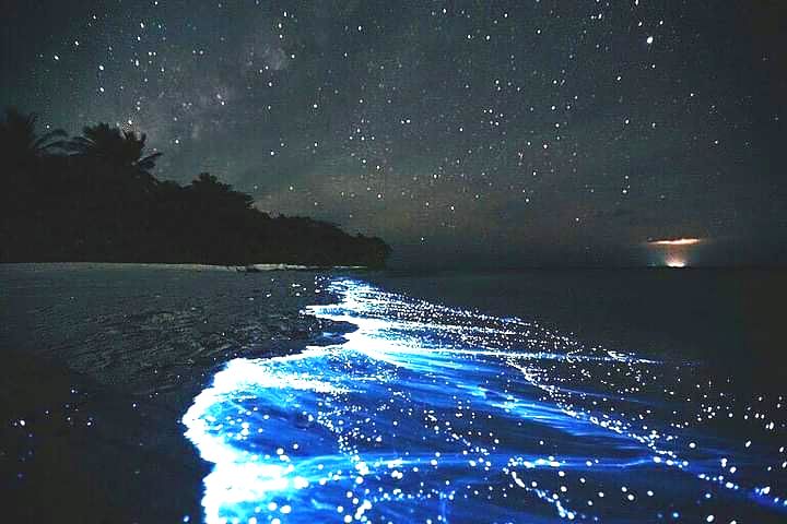 sea of stars