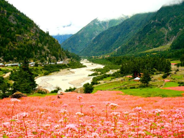 Sangla meadows (most beautiful villages in India)