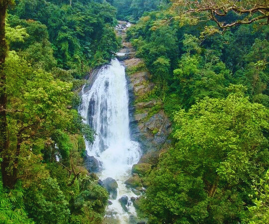 attukad waterfall (places to visit in august)