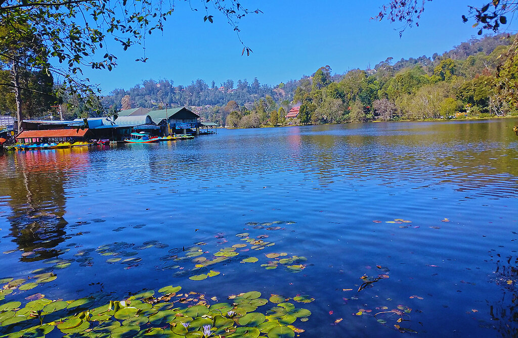 Kodaikanal lake (places to visit in August)