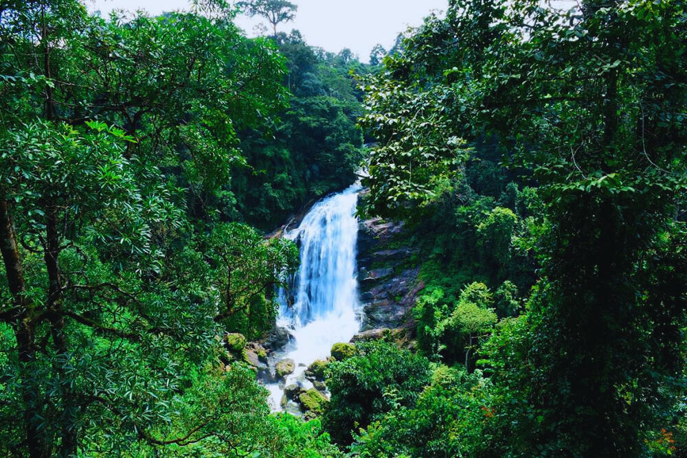 nyayamakad waterfall (places to visit in august)