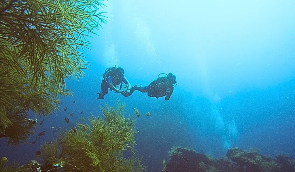 scuba diving (best time to visit andaman for beach activities)