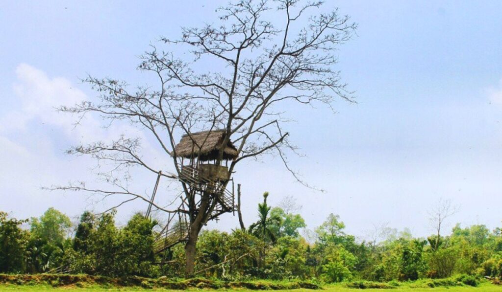 Sky walk in Mawlynnong